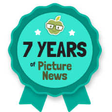 Picture News: Seven Years of Picture News